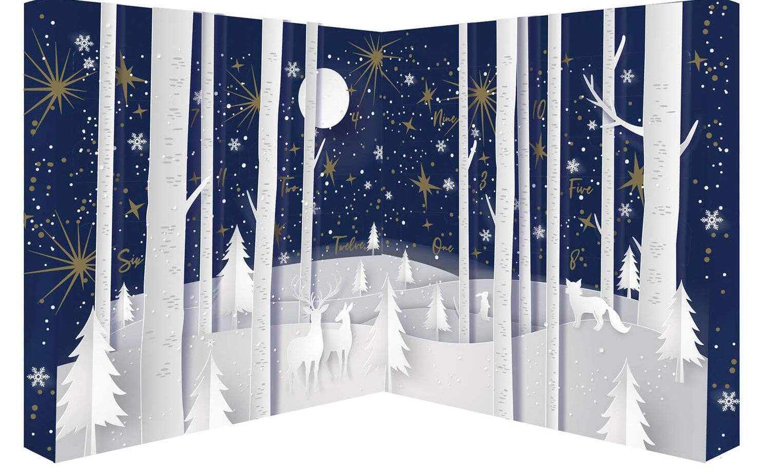 BeautyPro 12 Days of Christmask adventskalender 2021