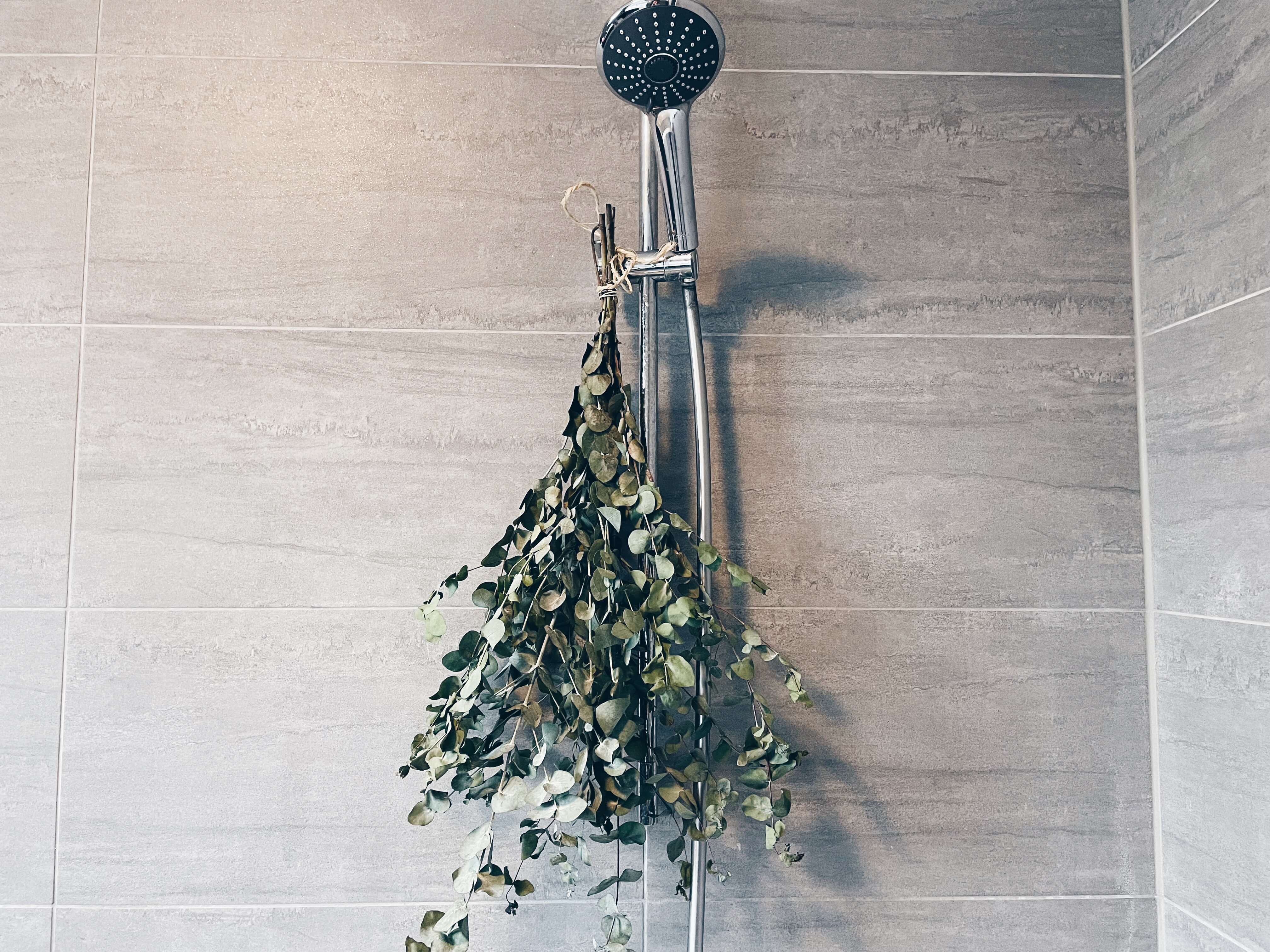 Waarom je maar beter Eucalyptus in je douche kan ophangen!