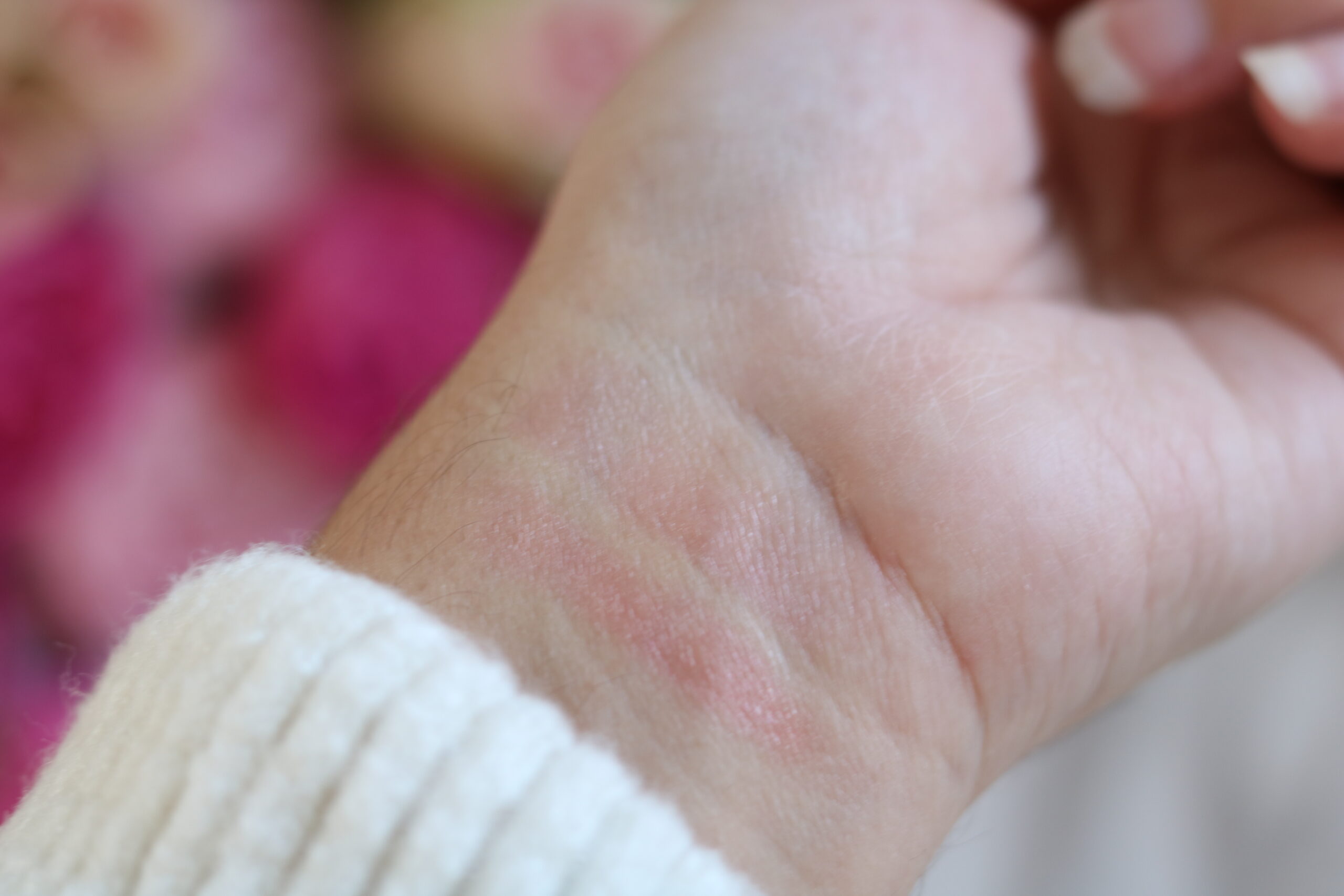 L'Oreal Glow Paradise peach charm review